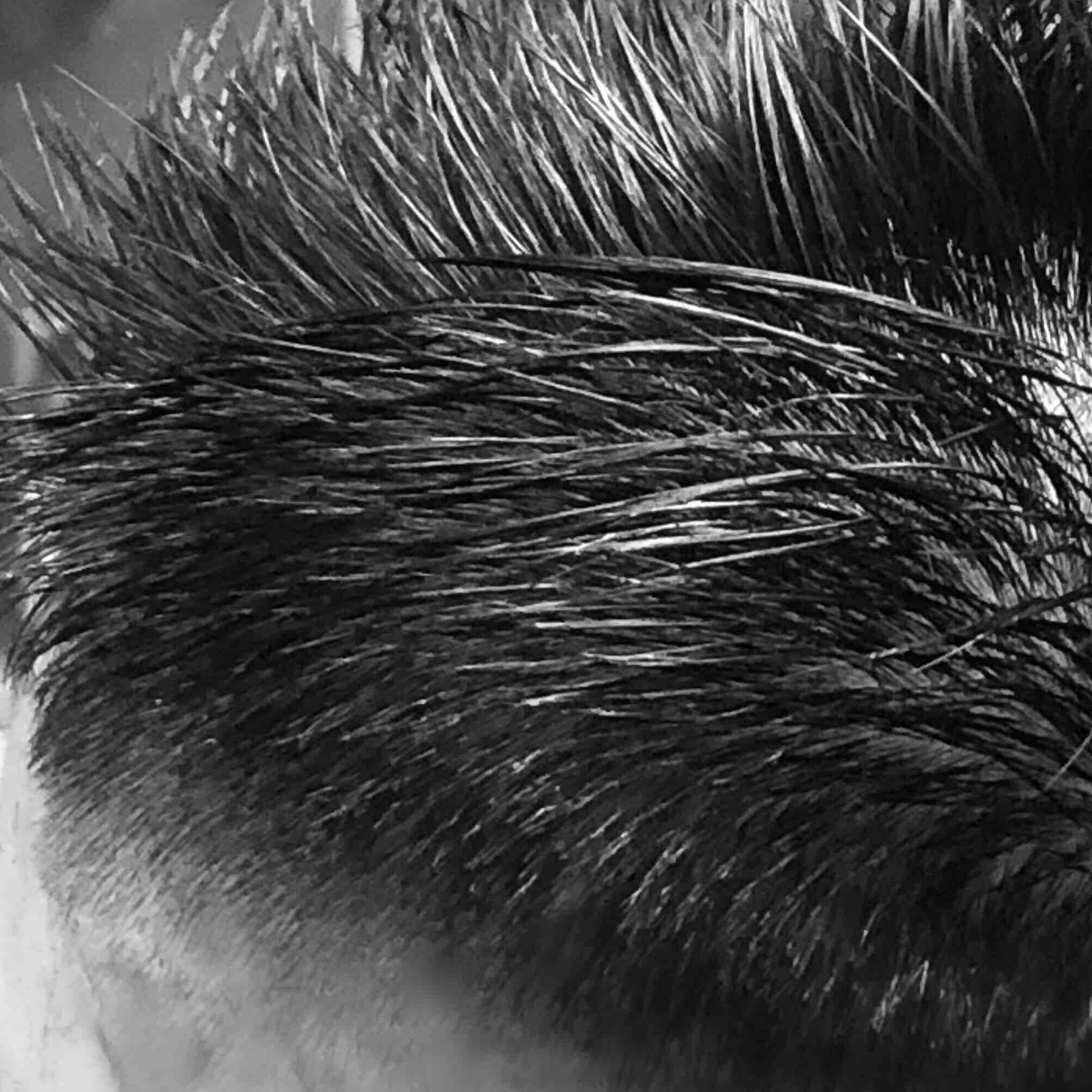 Hair work by CLEAR CUT STUDIO